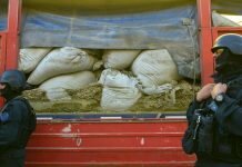 Secuestro de marihuana a camionero de Villaguay: resultaron ser 3482 kilos