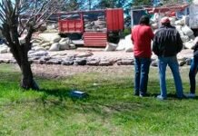 Detienen a camionero de Villaguay con gran cantidad de droga