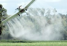 Gualeguaychú: La ciudad que no toma agua de la canilla por miedo al cáncer