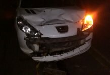Maciaenses chocaron una vaca en la ruta 18