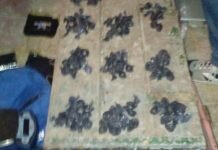 Secuestran drogas y un arma de fuego