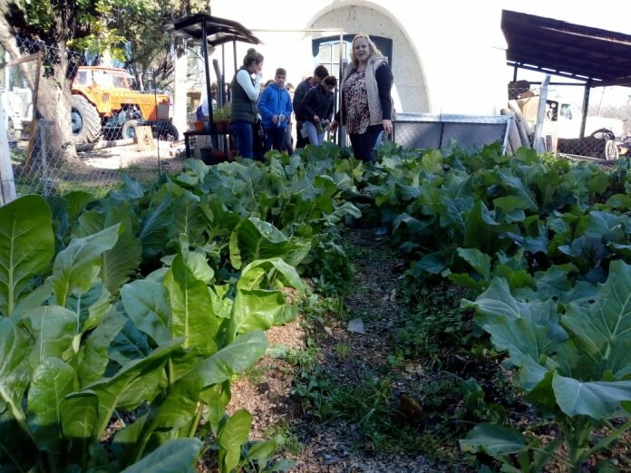 huerta