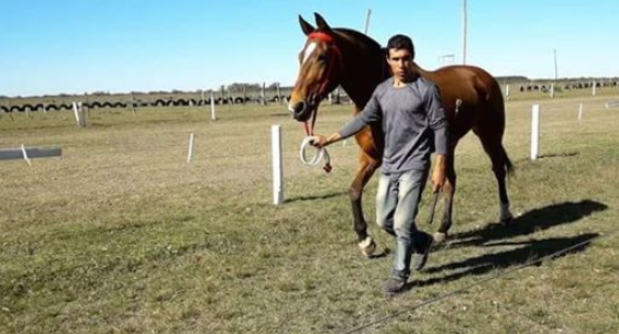 jockey acosta