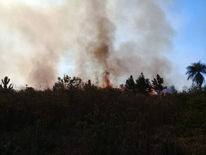 Quema-en-Misiones.-Incendios